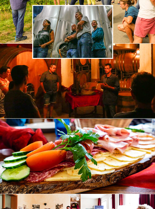 Ausflug-Umstädter-Weinberge