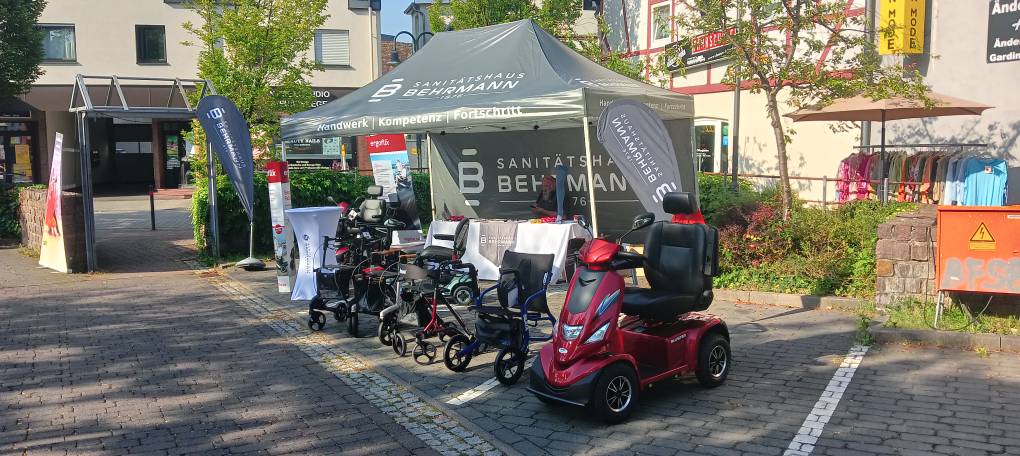 medien-1349345299-1785760261 Odenwaldklub beim Modauuferfest